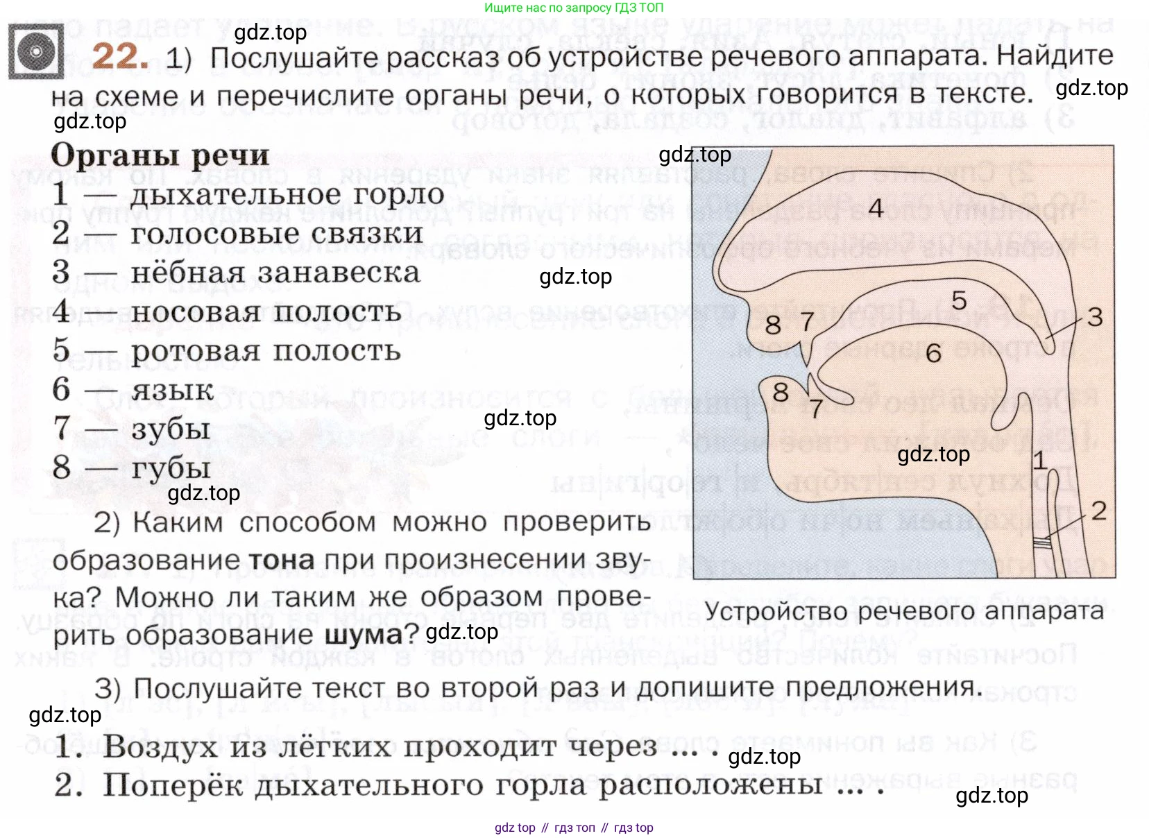 ГДЗ Русский язык, 5 класс Учебник, авторы: Шмелёв Алексей Дмитриевич, Флоренская Эльза Александровна, Габович Фаина Ефимовна, Савчук Лариса Олеговна(2), Шмелёва Елена Яковлевна, издательство Просвещение, Москва, 2021, Часть 1, страница 82, номер 22, Условие