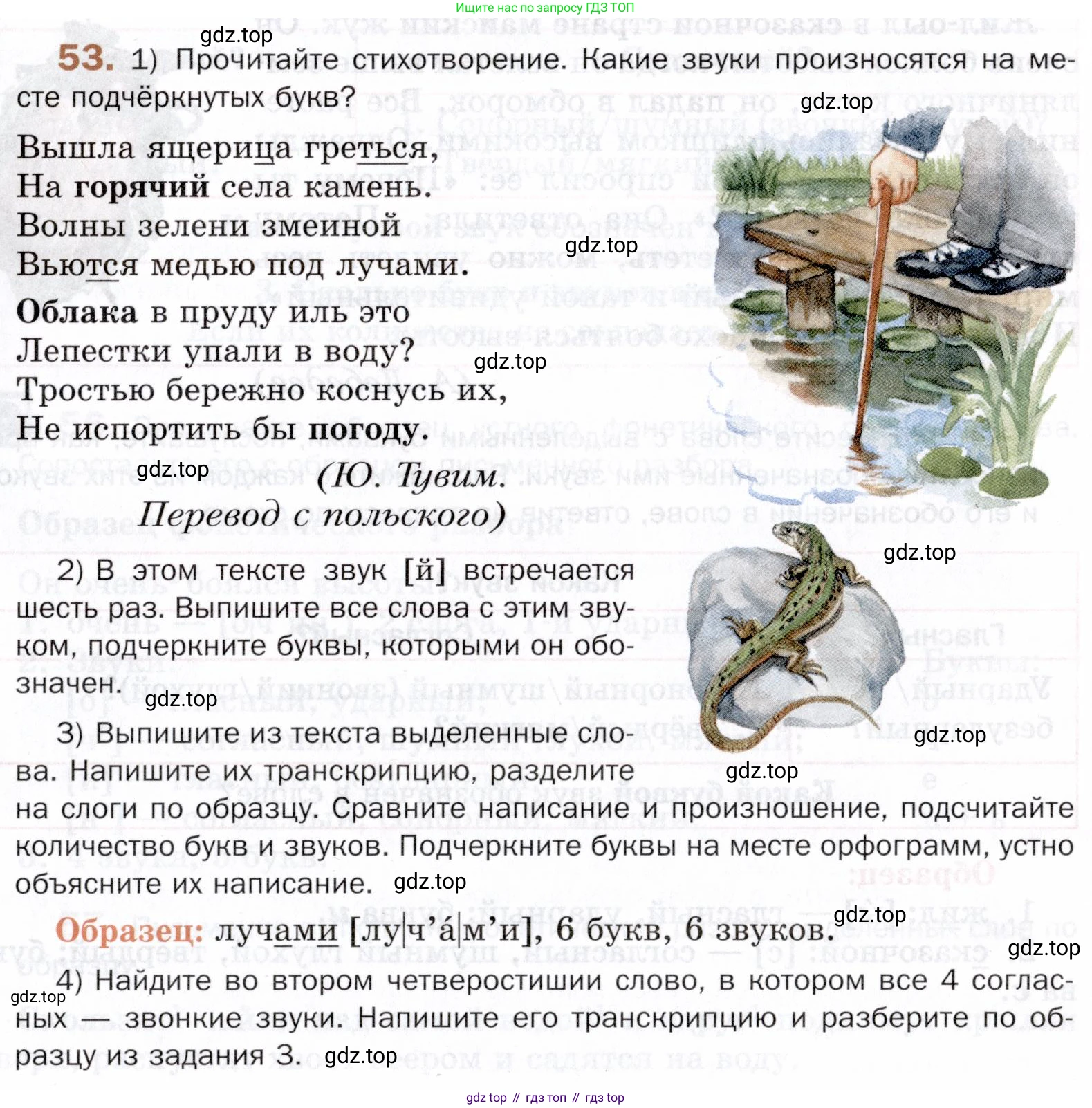 ГДЗ Русский язык, 5 класс Учебник, авторы: Шмелёв Алексей Дмитриевич, Флоренская Эльза Александровна, Габович Фаина Ефимовна, Савчук Лариса Олеговна(2), Шмелёва Елена Яковлевна, издательство Просвещение, Москва, 2021, Часть 1, страница 101, номер 53, Условие