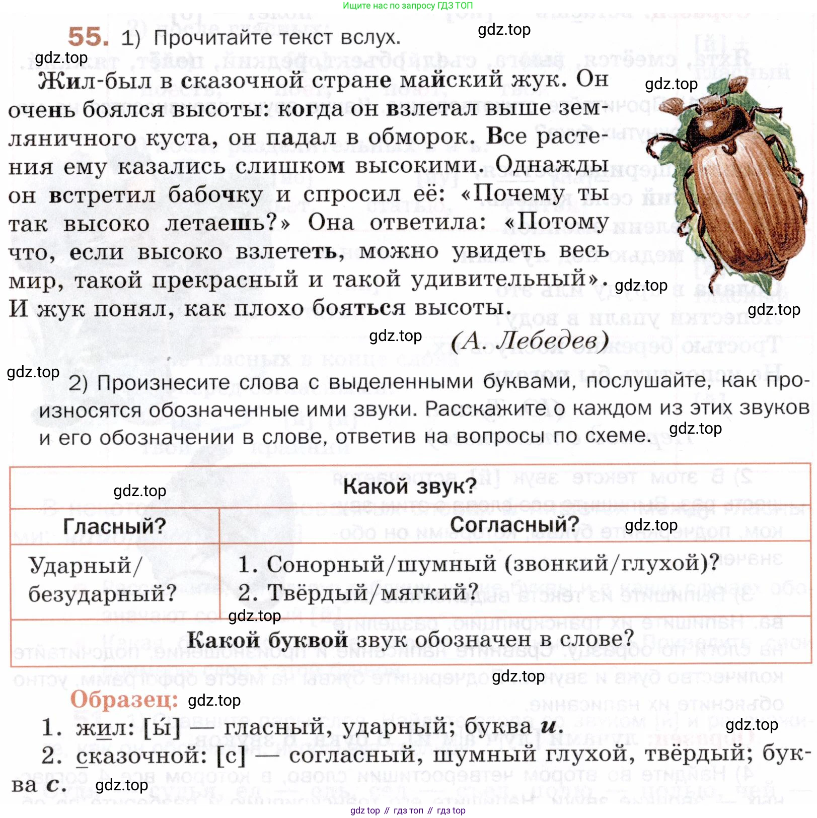 ГДЗ Русский язык, 5 класс Учебник, авторы: Шмелёв Алексей Дмитриевич, Флоренская Эльза Александровна, Габович Фаина Ефимовна, Савчук Лариса Олеговна(2), Шмелёва Елена Яковлевна, издательство Просвещение, Москва, 2021, Часть 1, страница 102, номер 55, Условие