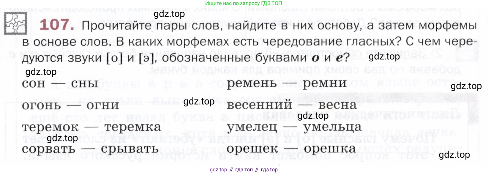 ГДЗ Русский язык, 5 класс Учебник, авторы: Шмелёв Алексей Дмитриевич, Флоренская Эльза Александровна, Габович Фаина Ефимовна, Савчук Лариса Олеговна(2), Шмелёва Елена Яковлевна, издательство Просвещение, Москва, 2021, Часть 1, страница 191, номер 107, Условие