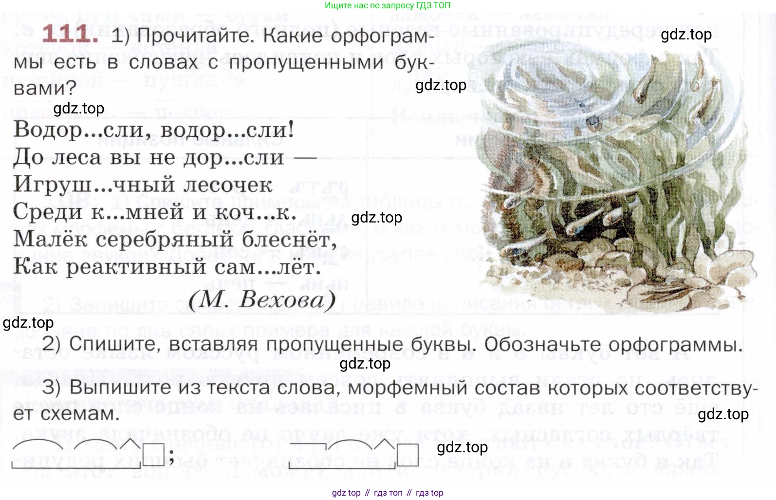 ГДЗ Русский язык, 5 класс Учебник, авторы: Шмелёв Алексей Дмитриевич, Флоренская Эльза Александровна, Габович Фаина Ефимовна, Савчук Лариса Олеговна(2), Шмелёва Елена Яковлевна, издательство Просвещение, Москва, 2021, Часть 1, страница 194, номер 111, Условие