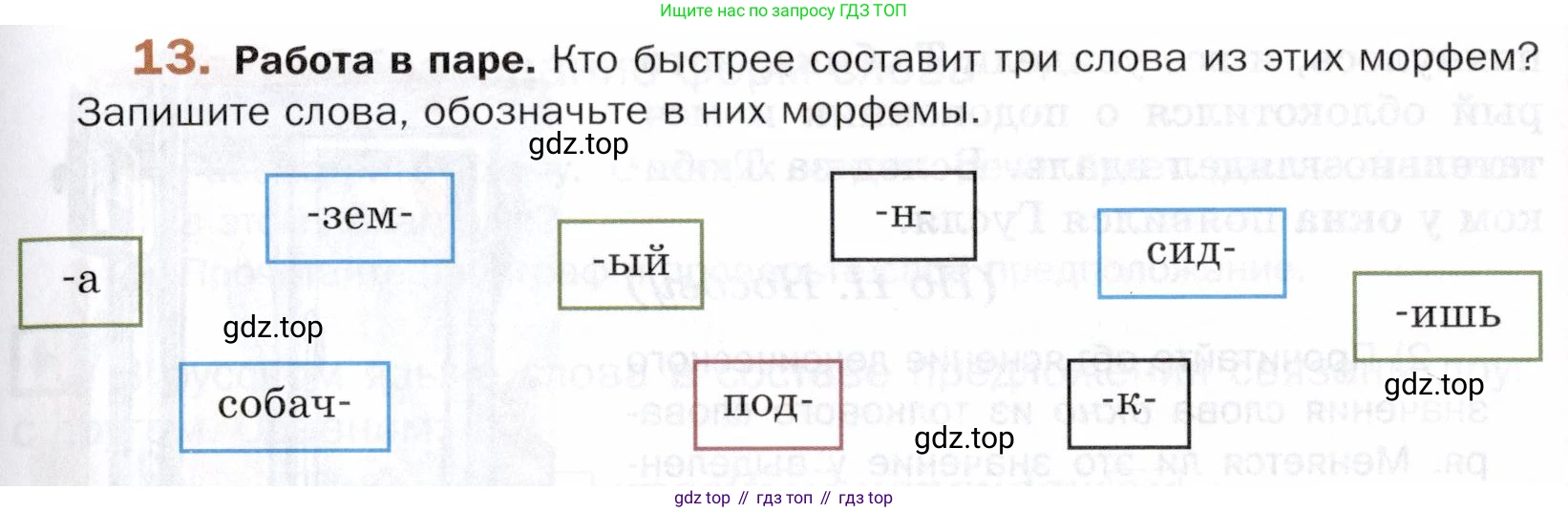ГДЗ Русский язык, 5 класс Учебник, авторы: Шмелёв Алексей Дмитриевич, Флоренская Эльза Александровна, Габович Фаина Ефимовна, Савчук Лариса Олеговна(2), Шмелёва Елена Яковлевна, издательство Просвещение, Москва, 2021, Часть 1, страница 147, номер 13, Условие