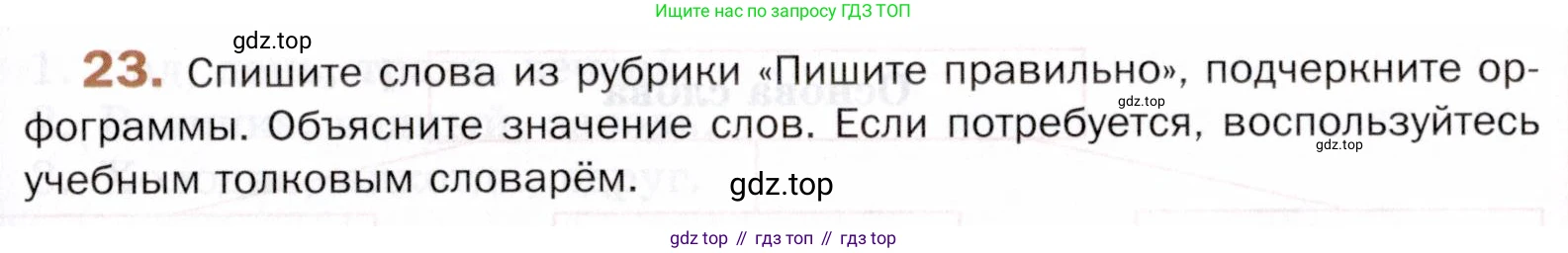 ГДЗ Русский язык, 5 класс Учебник, авторы: Шмелёв Алексей Дмитриевич, Флоренская Эльза Александровна, Габович Фаина Ефимовна, Савчук Лариса Олеговна(2), Шмелёва Елена Яковлевна, издательство Просвещение, Москва, 2021, Часть 1, страница 153, номер 23, Условие