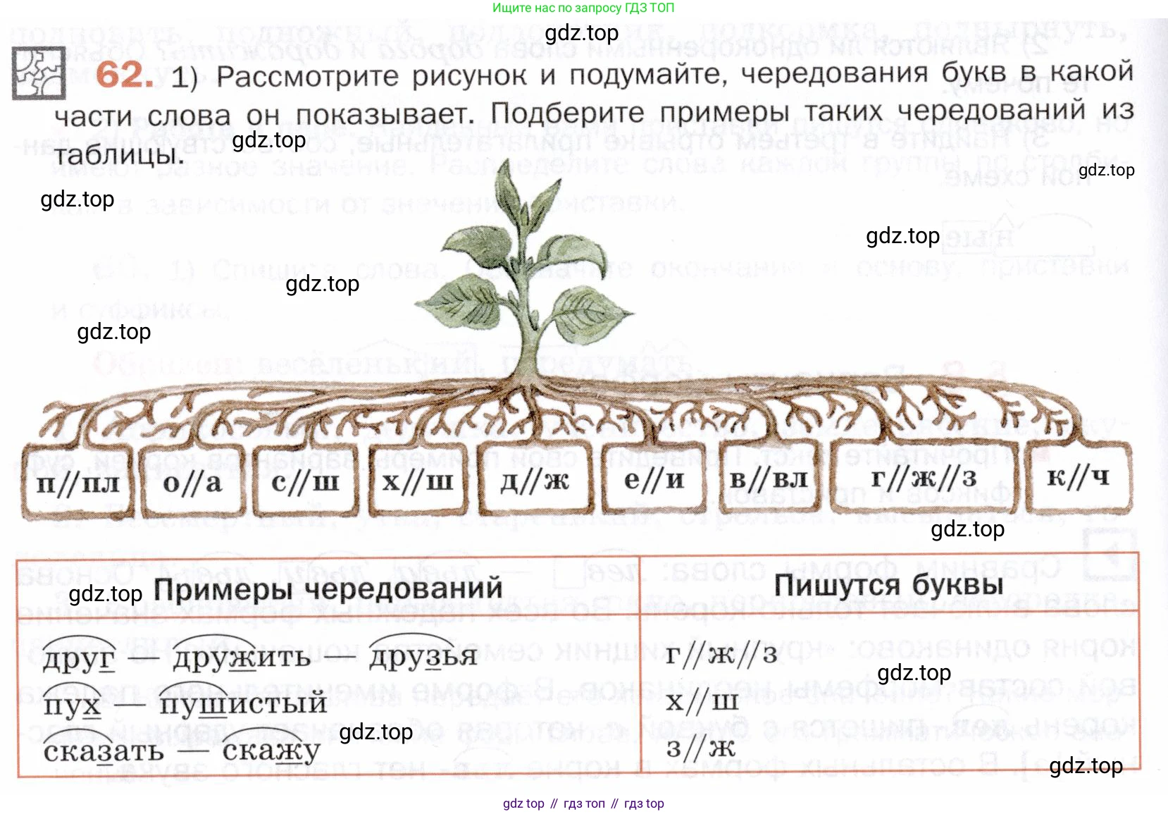 ГДЗ Русский язык, 5 класс Учебник, авторы: Шмелёв Алексей Дмитриевич, Флоренская Эльза Александровна, Габович Фаина Ефимовна, Савчук Лариса Олеговна(2), Шмелёва Елена Яковлевна, издательство Просвещение, Москва, 2021, Часть 1, страница 170, номер 62, Условие
