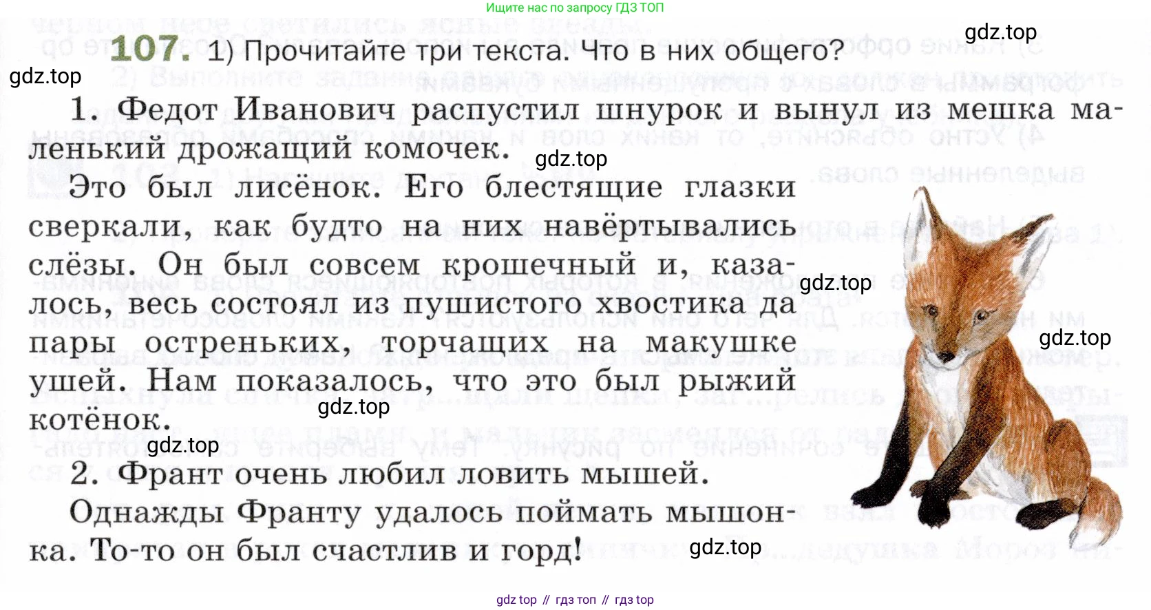 ГДЗ Русский язык, 5 класс Учебник, авторы: Шмелёв Алексей Дмитриевич, Флоренская Эльза Александровна, Габович Фаина Ефимовна, Савчук Лариса Олеговна(2), Шмелёва Елена Яковлевна, издательство Просвещение, Москва, 2021, Часть 1, страница 282, номер 107, Условие