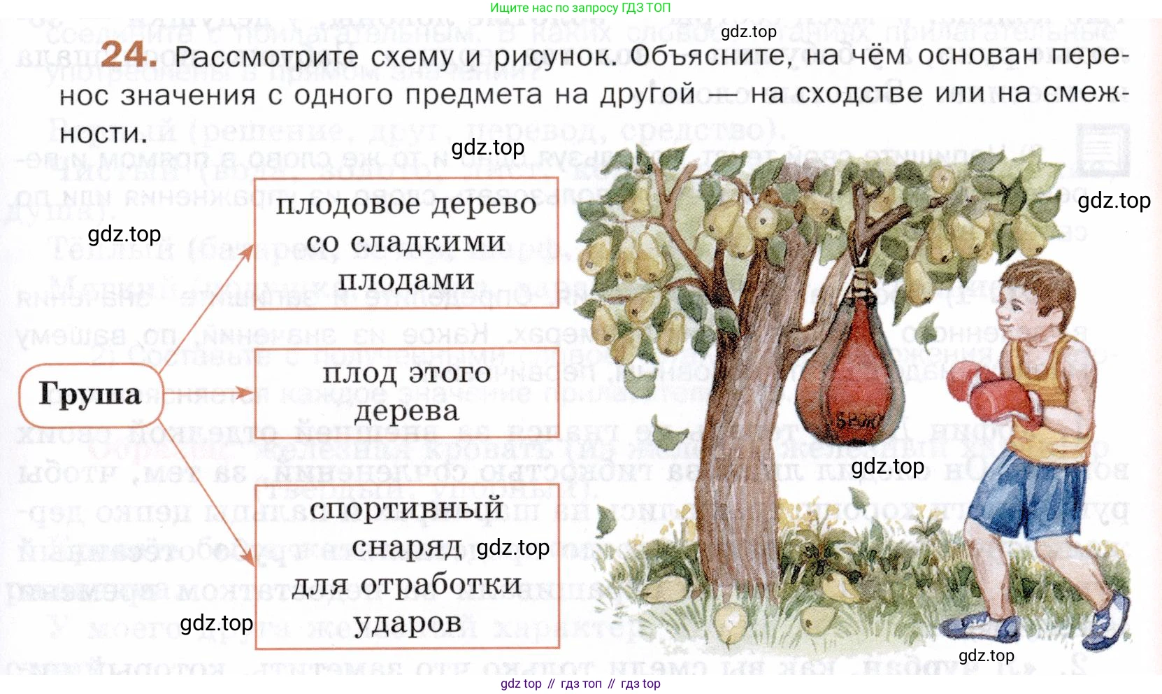 ГДЗ Русский язык, 5 класс Учебник, авторы: Шмелёв Алексей Дмитриевич, Флоренская Эльза Александровна, Габович Фаина Ефимовна, Савчук Лариса Олеговна(2), Шмелёва Елена Яковлевна, издательство Просвещение, Москва, 2021, Часть 1, страница 243, номер 24, Условие