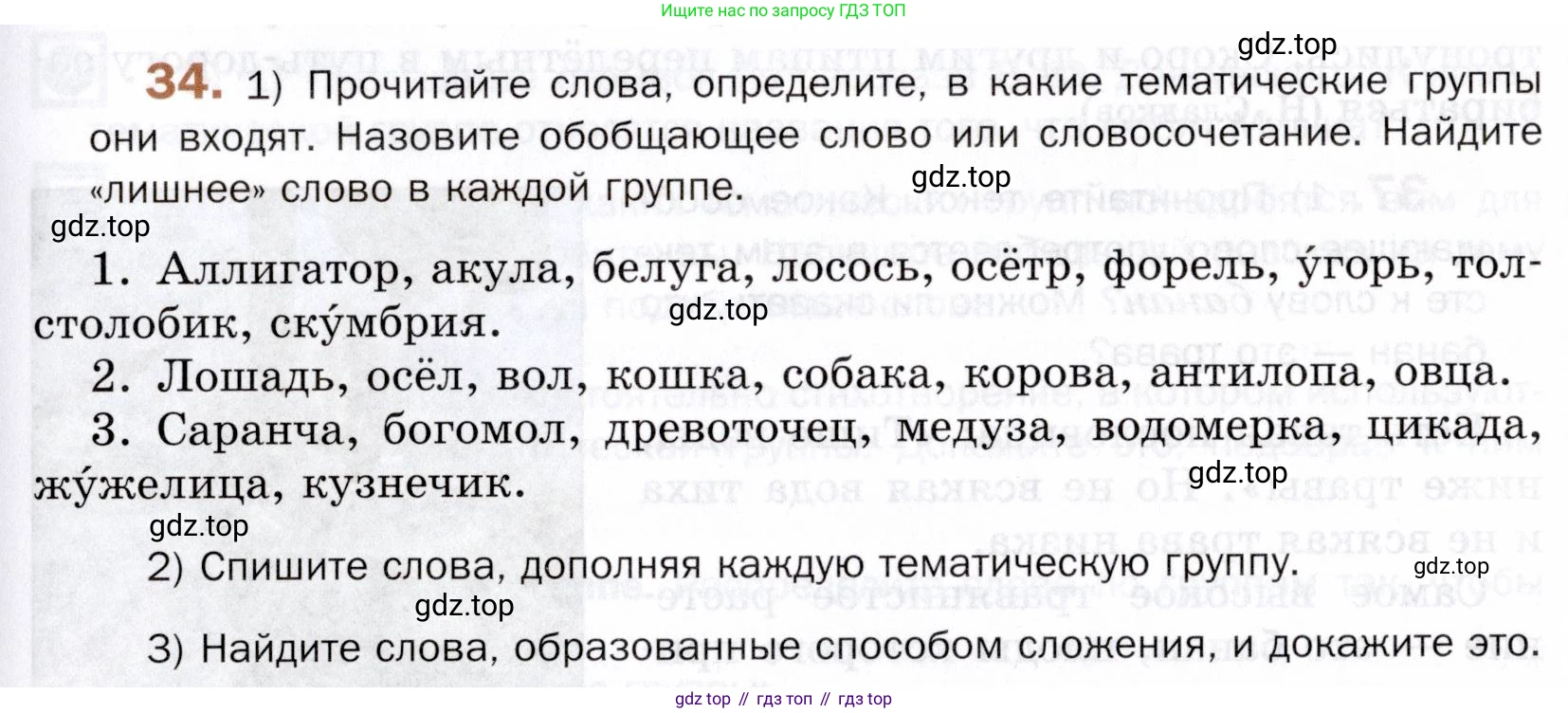 ГДЗ Русский язык, 5 класс Учебник, авторы: Шмелёв Алексей Дмитриевич, Флоренская Эльза Александровна, Габович Фаина Ефимовна, Савчук Лариса Олеговна(2), Шмелёва Елена Яковлевна, издательство Просвещение, Москва, 2021, Часть 1, страница 249, номер 34, Условие