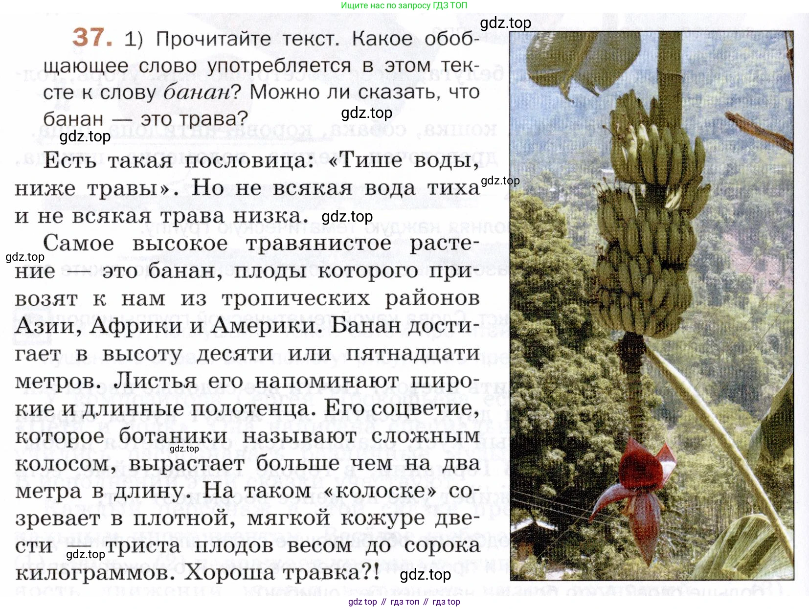 ГДЗ Русский язык, 5 класс Учебник, авторы: Шмелёв Алексей Дмитриевич, Флоренская Эльза Александровна, Габович Фаина Ефимовна, Савчук Лариса Олеговна(2), Шмелёва Елена Яковлевна, издательство Просвещение, Москва, 2021, Часть 1, страница 250, номер 37, Условие