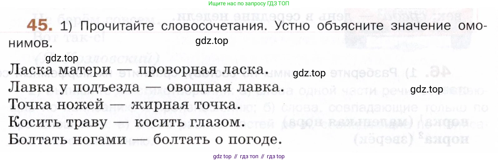 ГДЗ Русский язык, 5 класс Учебник, авторы: Шмелёв Алексей Дмитриевич, Флоренская Эльза Александровна, Габович Фаина Ефимовна, Савчук Лариса Олеговна(2), Шмелёва Елена Яковлевна, издательство Просвещение, Москва, 2021, Часть 1, страница 253, номер 45, Условие