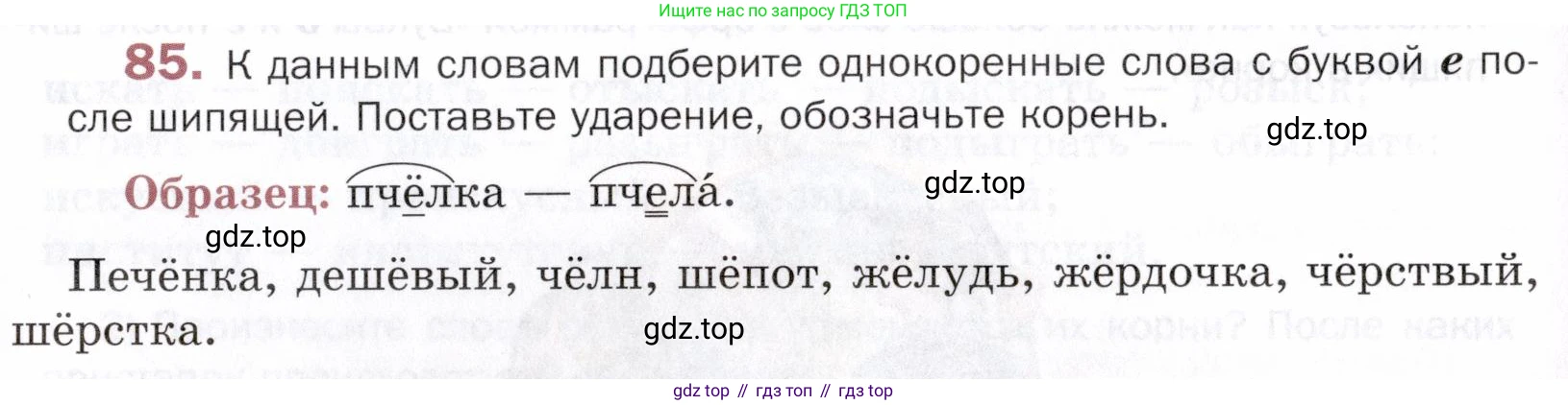 ГДЗ Русский язык, 5 класс Учебник, авторы: Шмелёв Алексей Дмитриевич, Флоренская Эльза Александровна, Габович Фаина Ефимовна, Савчук Лариса Олеговна(2), Шмелёва Елена Яковлевна, издательство Просвещение, Москва, 2021, Часть 1, страница 275, номер 85, Условие