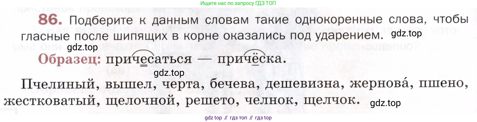 ГДЗ Русский язык, 5 класс Учебник, авторы: Шмелёв Алексей Дмитриевич, Флоренская Эльза Александровна, Габович Фаина Ефимовна, Савчук Лариса Олеговна(2), Шмелёва Елена Яковлевна, издательство Просвещение, Москва, 2021, Часть 1, страница 275, номер 86, Условие