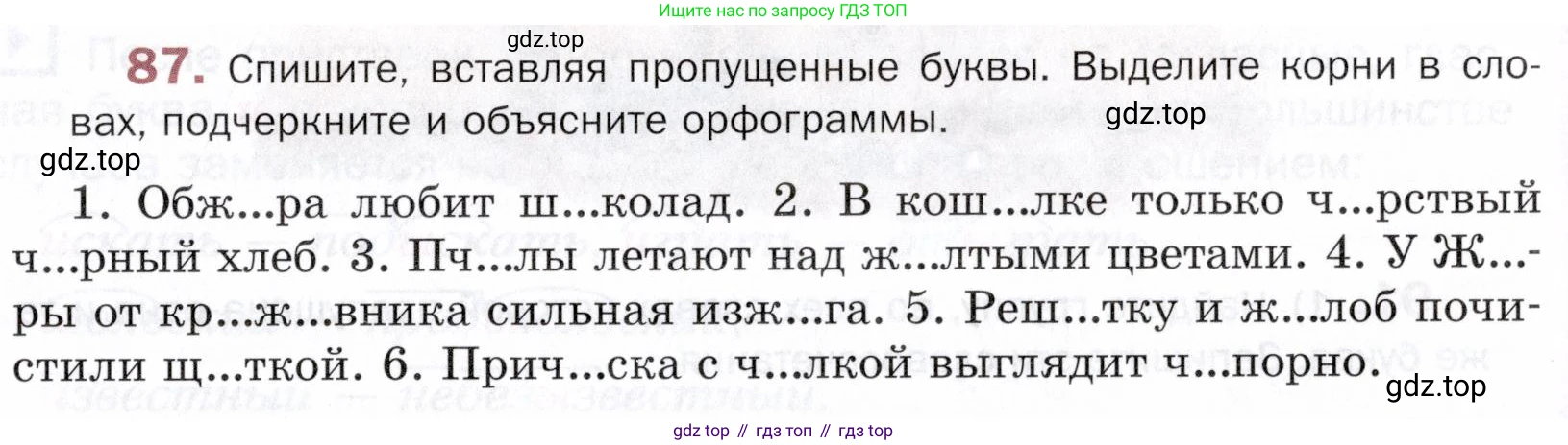 ГДЗ Русский язык, 5 класс Учебник, авторы: Шмелёв Алексей Дмитриевич, Флоренская Эльза Александровна, Габович Фаина Ефимовна, Савчук Лариса Олеговна(2), Шмелёва Елена Яковлевна, издательство Просвещение, Москва, 2021, Часть 1, страница 275, номер 87, Условие