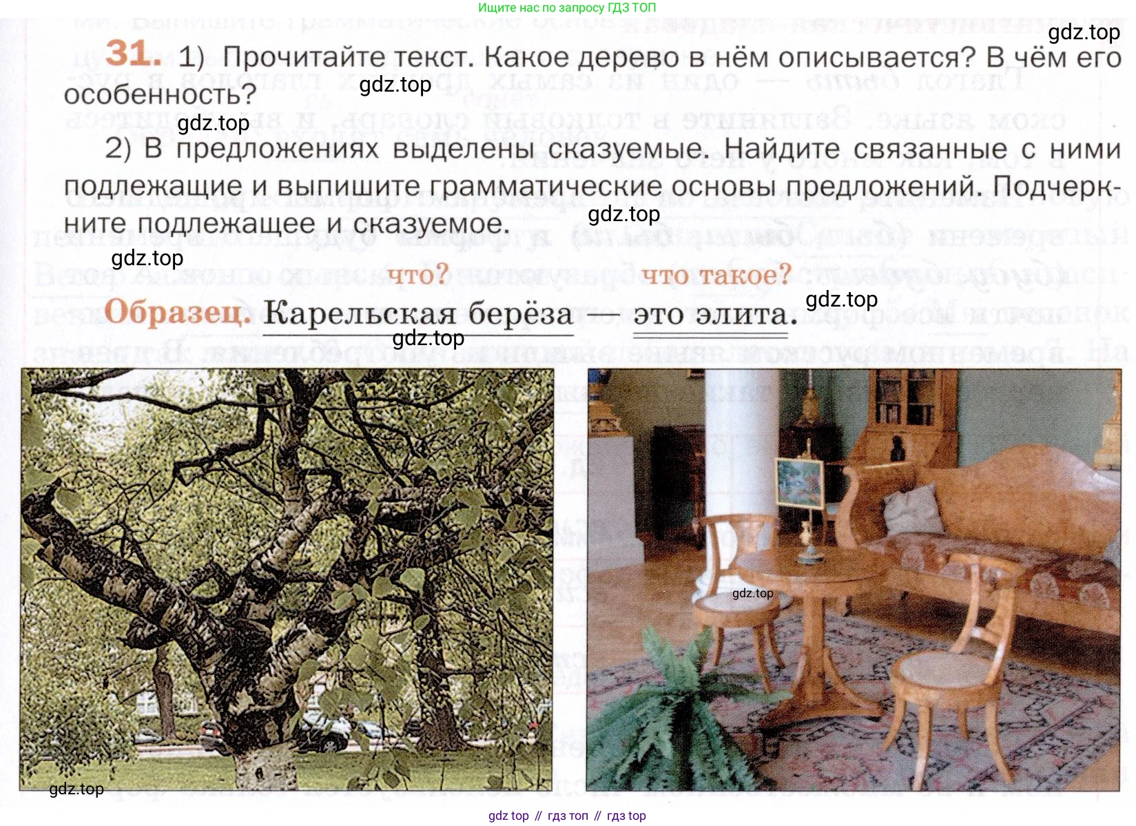 ГДЗ Русский язык, 5 класс Учебник, авторы: Шмелёв Алексей Дмитриевич, Флоренская Эльза Александровна, Габович Фаина Ефимовна, Савчук Лариса Олеговна(2), Шмелёва Елена Яковлевна, издательство Просвещение, Москва, 2021, Часть 2, страница 33, номер 31, Условие