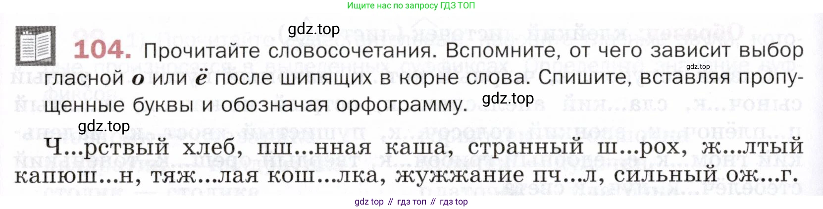 ГДЗ Русский язык, 5 класс Учебник, авторы: Шмелёв Алексей Дмитриевич, Флоренская Эльза Александровна, Габович Фаина Ефимовна, Савчук Лариса Олеговна(2), Шмелёва Елена Яковлевна, издательство Просвещение, Москва, 2021, Часть 2, страница 164, номер 104, Условие