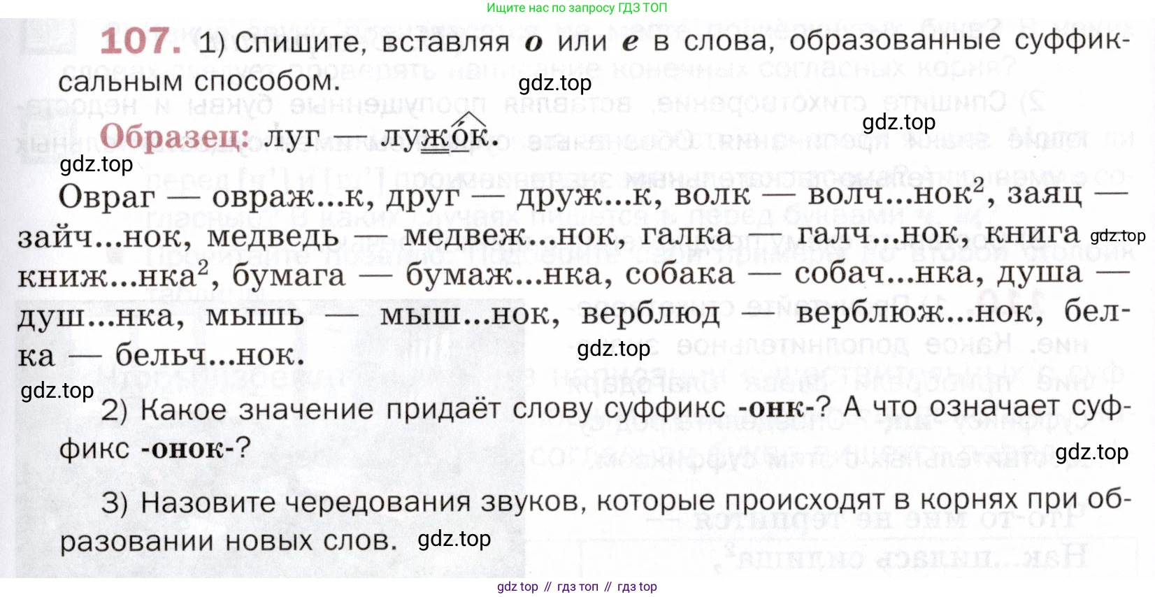 ГДЗ Русский язык, 5 класс Учебник, авторы: Шмелёв Алексей Дмитриевич, Флоренская Эльза Александровна, Габович Фаина Ефимовна, Савчук Лариса Олеговна(2), Шмелёва Елена Яковлевна, издательство Просвещение, Москва, 2021, Часть 2, страница 165, номер 107, Условие