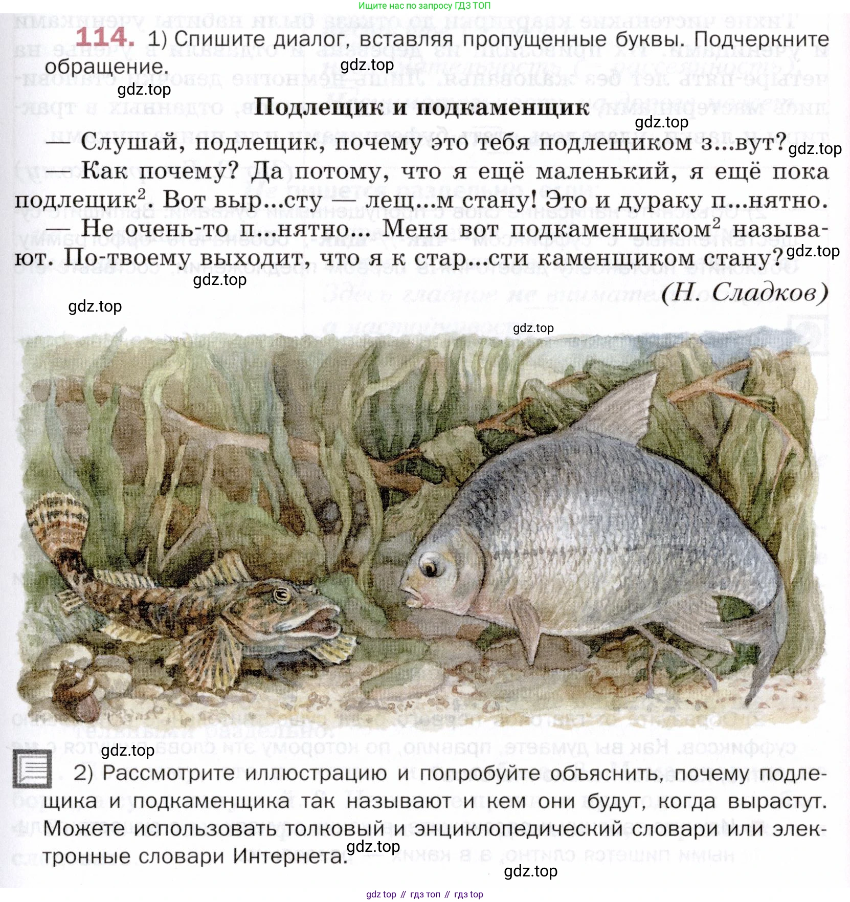 ГДЗ Русский язык, 5 класс Учебник, авторы: Шмелёв Алексей Дмитриевич, Флоренская Эльза Александровна, Габович Фаина Ефимовна, Савчук Лариса Олеговна(2), Шмелёва Елена Яковлевна, издательство Просвещение, Москва, 2021, Часть 2, страница 169, номер 114, Условие