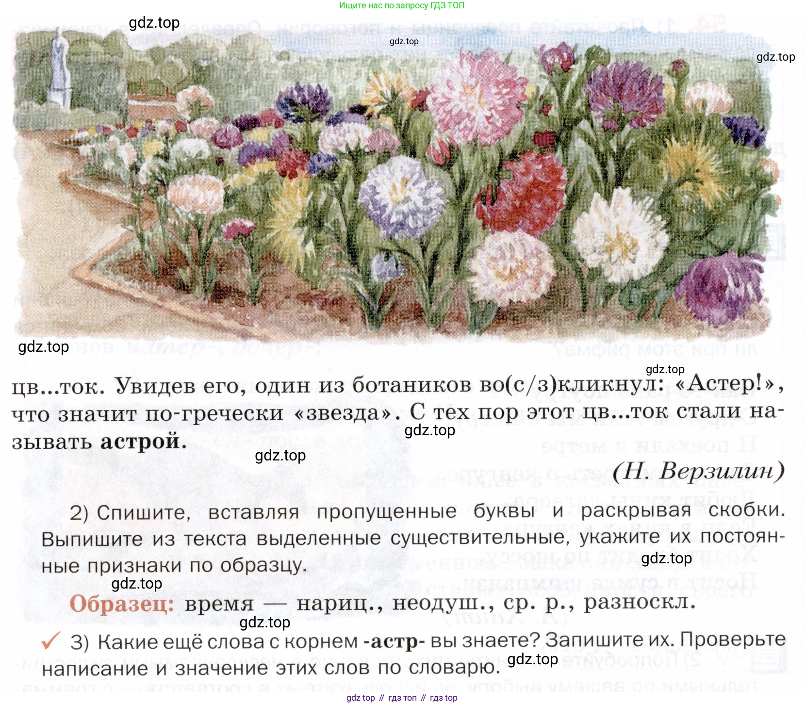 ГДЗ Русский язык, 5 класс Учебник, авторы: Шмелёв Алексей Дмитриевич, Флоренская Эльза Александровна, Габович Фаина Ефимовна, Савчук Лариса Олеговна(2), Шмелёва Елена Яковлевна, издательство Просвещение, Москва, 2021, Часть 2, страница 137, номер 56, Условие (продолжение 2)