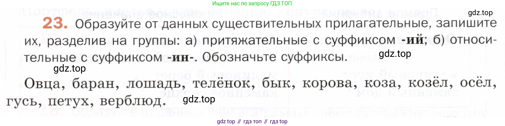 ГДЗ Русский язык, 5 класс Учебник, авторы: Шмелёв Алексей Дмитриевич, Флоренская Эльза Александровна, Габович Фаина Ефимовна, Савчук Лариса Олеговна(2), Шмелёва Елена Яковлевна, издательство Просвещение, Москва, 2021, Часть 2, страница 202, номер 23, Условие