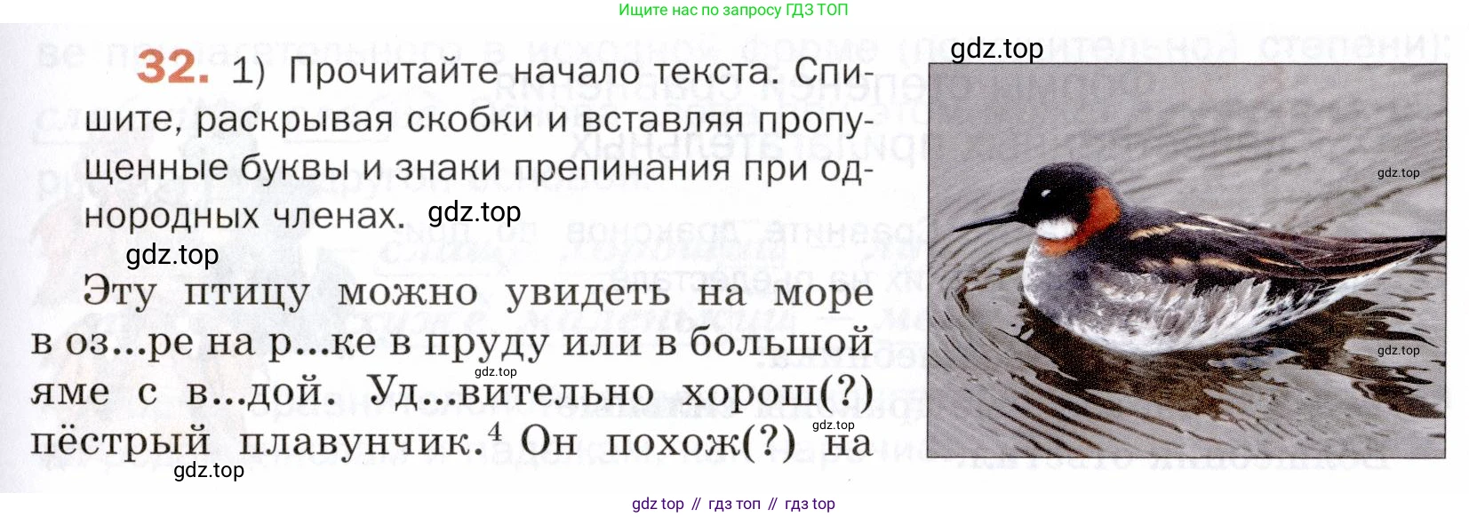 ГДЗ Русский язык, 5 класс Учебник, авторы: Шмелёв Алексей Дмитриевич, Флоренская Эльза Александровна, Габович Фаина Ефимовна, Савчук Лариса Олеговна(2), Шмелёва Елена Яковлевна, издательство Просвещение, Москва, 2021, Часть 2, страница 207, номер 32, Условие