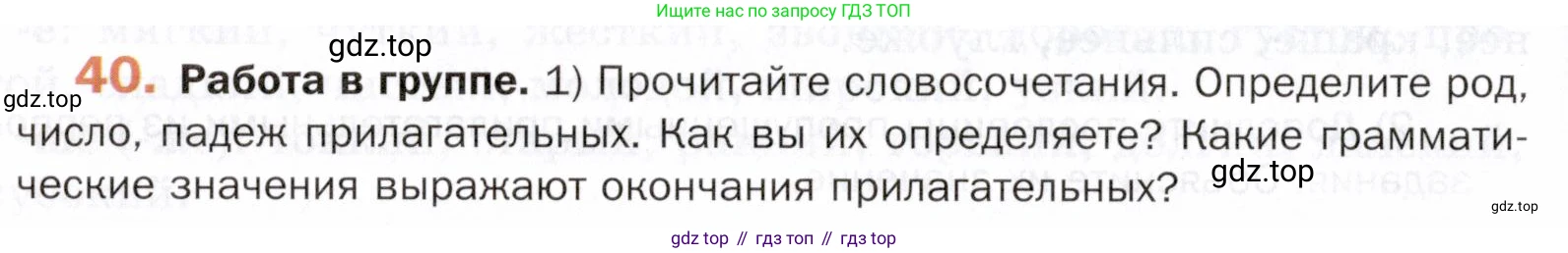 ГДЗ Русский язык, 5 класс Учебник, авторы: Шмелёв Алексей Дмитриевич, Флоренская Эльза Александровна, Габович Фаина Ефимовна, Савчук Лариса Олеговна(2), Шмелёва Елена Яковлевна, издательство Просвещение, Москва, 2021, Часть 2, страница 212, номер 40, Условие