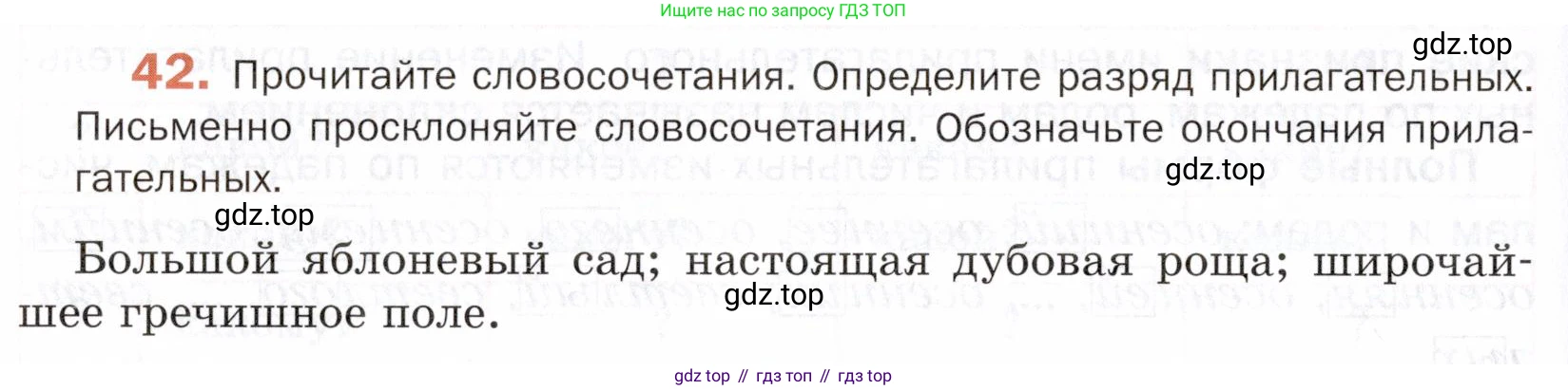 ГДЗ Русский язык, 5 класс Учебник, авторы: Шмелёв Алексей Дмитриевич, Флоренская Эльза Александровна, Габович Фаина Ефимовна, Савчук Лариса Олеговна(2), Шмелёва Елена Яковлевна, издательство Просвещение, Москва, 2021, Часть 2, страница 214, номер 42, Условие