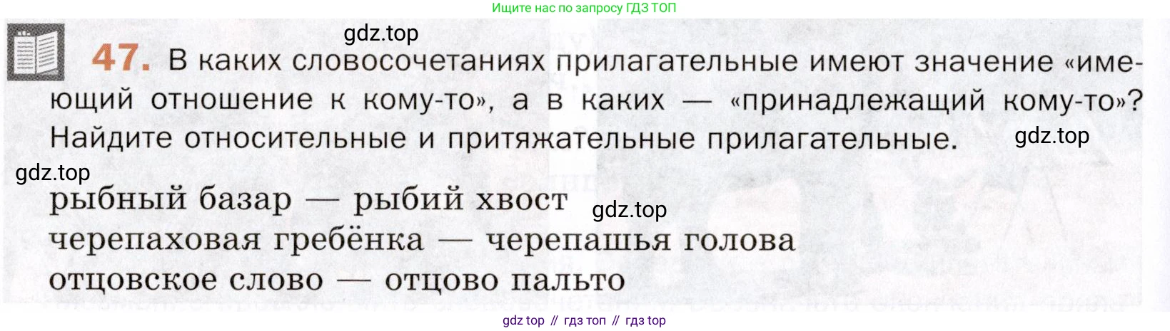 ГДЗ Русский язык, 5 класс Учебник, авторы: Шмелёв Алексей Дмитриевич, Флоренская Эльза Александровна, Габович Фаина Ефимовна, Савчук Лариса Олеговна(2), Шмелёва Елена Яковлевна, издательство Просвещение, Москва, 2021, Часть 2, страница 216, номер 47, Условие