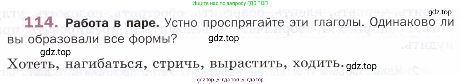 ГДЗ Русский язык, 5 класс Учебник, авторы: Шмелёв Алексей Дмитриевич, Флоренская Эльза Александровна, Габович Фаина Ефимовна, Савчук Лариса Олеговна(2), Шмелёва Елена Яковлевна, издательство Просвещение, Москва, 2021, Часть 2, страница 309, номер 114, Условие