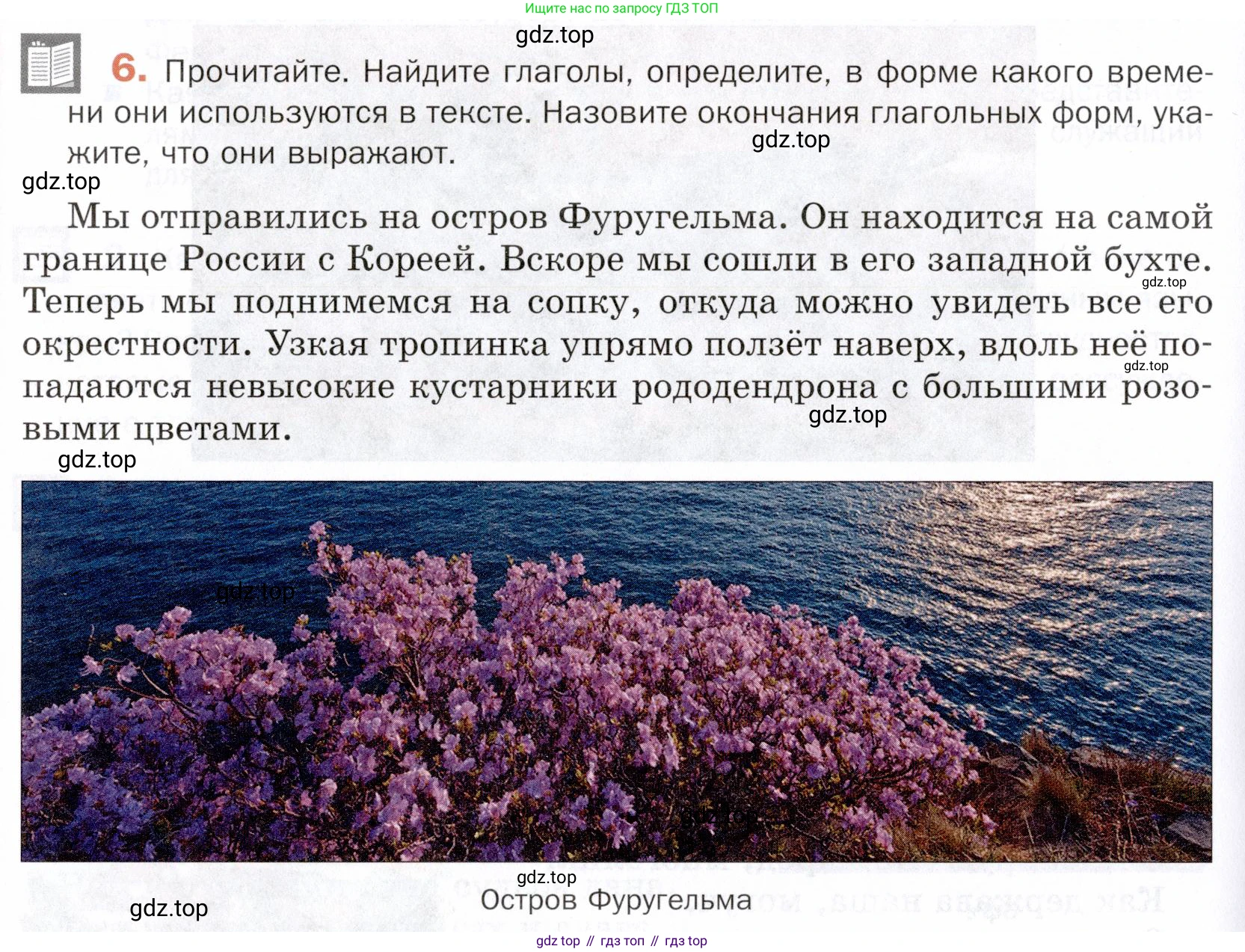 ГДЗ Русский язык, 5 класс Учебник, авторы: Шмелёв Алексей Дмитриевич, Флоренская Эльза Александровна, Габович Фаина Ефимовна, Савчук Лариса Олеговна(2), Шмелёва Елена Яковлевна, издательство Просвещение, Москва, 2021, Часть 2, страница 254, номер 6, Условие