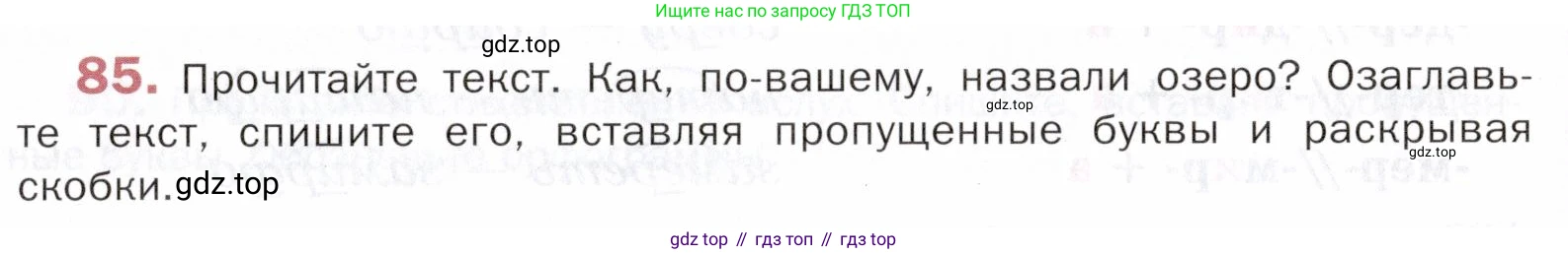 ГДЗ Русский язык, 5 класс Учебник, авторы: Шмелёв Алексей Дмитриевич, Флоренская Эльза Александровна, Габович Фаина Ефимовна, Савчук Лариса Олеговна(2), Шмелёва Елена Яковлевна, издательство Просвещение, Москва, 2021, Часть 2, страница 295, номер 85, Условие