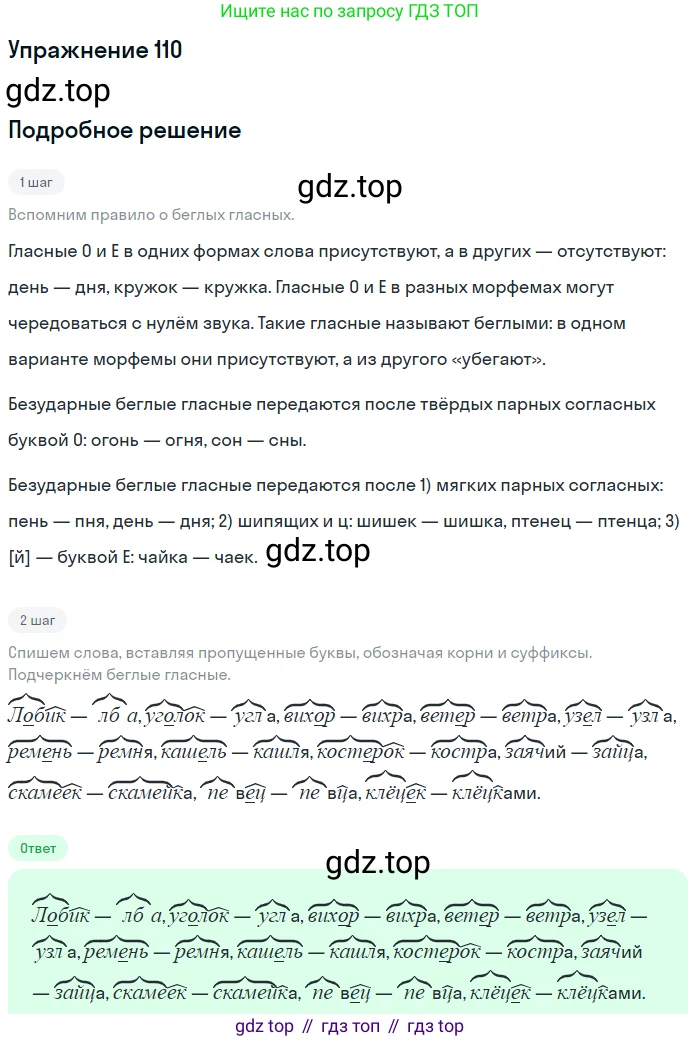 ГДЗ Русский язык, 5 класс Учебник, авторы: Шмелёв Алексей Дмитриевич, Флоренская Эльза Александровна, Габович Фаина Ефимовна, Савчук Лариса Олеговна(2), Шмелёва Елена Яковлевна, издательство Просвещение, Москва, 2021, Часть 1, страница 194, номер 110, Решение 1