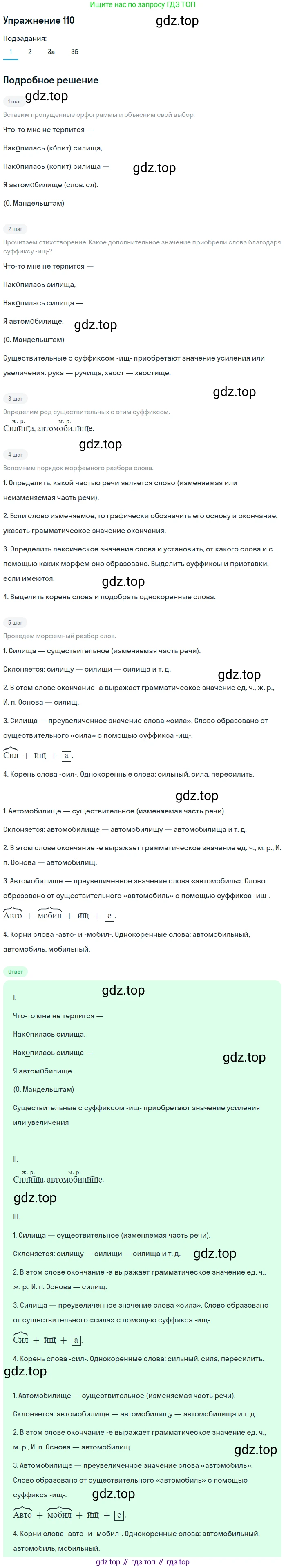 ГДЗ Русский язык, 5 класс Учебник, авторы: Шмелёв Алексей Дмитриевич, Флоренская Эльза Александровна, Габович Фаина Ефимовна, Савчук Лариса Олеговна(2), Шмелёва Елена Яковлевна, издательство Просвещение, Москва, 2021, Часть 2, страница 166, номер 110, Решение 1