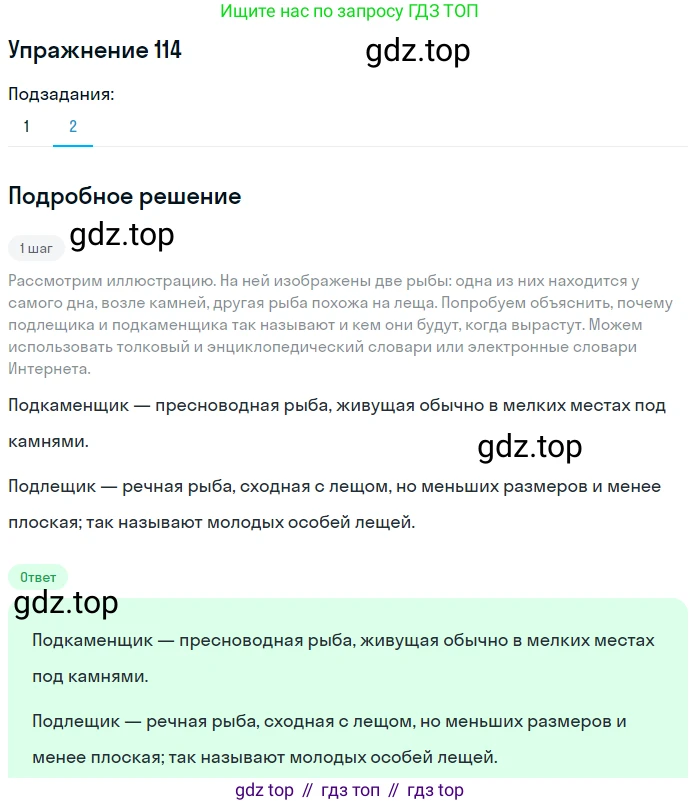 ГДЗ Русский язык, 5 класс Учебник, авторы: Шмелёв Алексей Дмитриевич, Флоренская Эльза Александровна, Габович Фаина Ефимовна, Савчук Лариса Олеговна(2), Шмелёва Елена Яковлевна, издательство Просвещение, Москва, 2021, Часть 2, страница 169, номер 114, Решение 1 (продолжение 2)