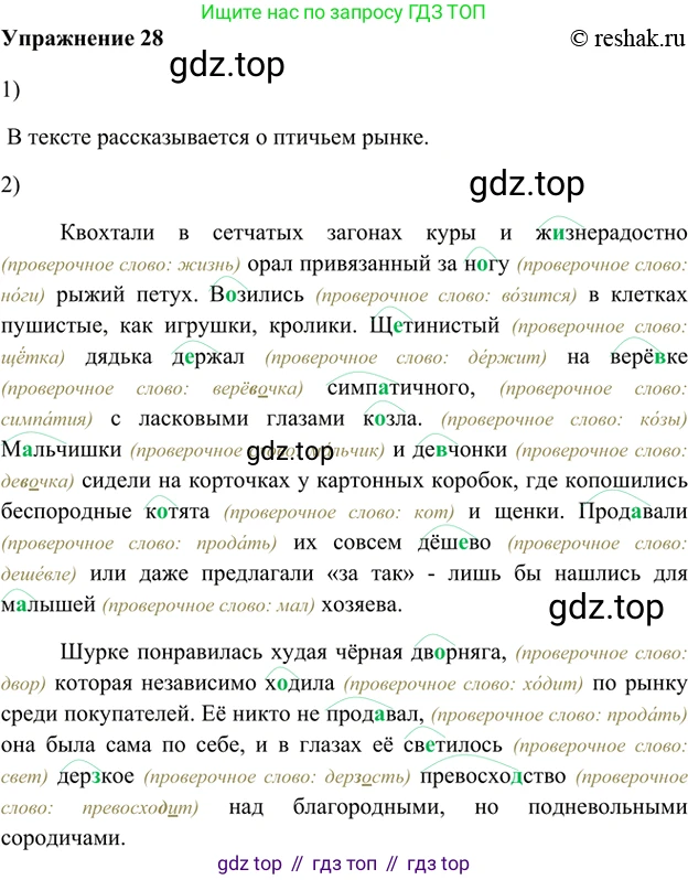 ГДЗ Русский язык, 5 класс Учебник, авторы: Шмелёв Алексей Дмитриевич, Флоренская Эльза Александровна, Габович Фаина Ефимовна, Савчук Лариса Олеговна(2), Шмелёва Елена Яковлевна, издательство Просвещение, Москва, 2021, Часть 1, страница 20, номер 28, Решение 2