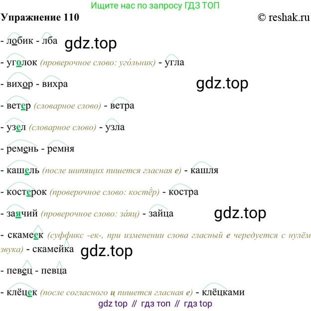 ГДЗ Русский язык, 5 класс Учебник, авторы: Шмелёв Алексей Дмитриевич, Флоренская Эльза Александровна, Габович Фаина Ефимовна, Савчук Лариса Олеговна(2), Шмелёва Елена Яковлевна, издательство Просвещение, Москва, 2021, Часть 1, страница 194, номер 110, Решение 2