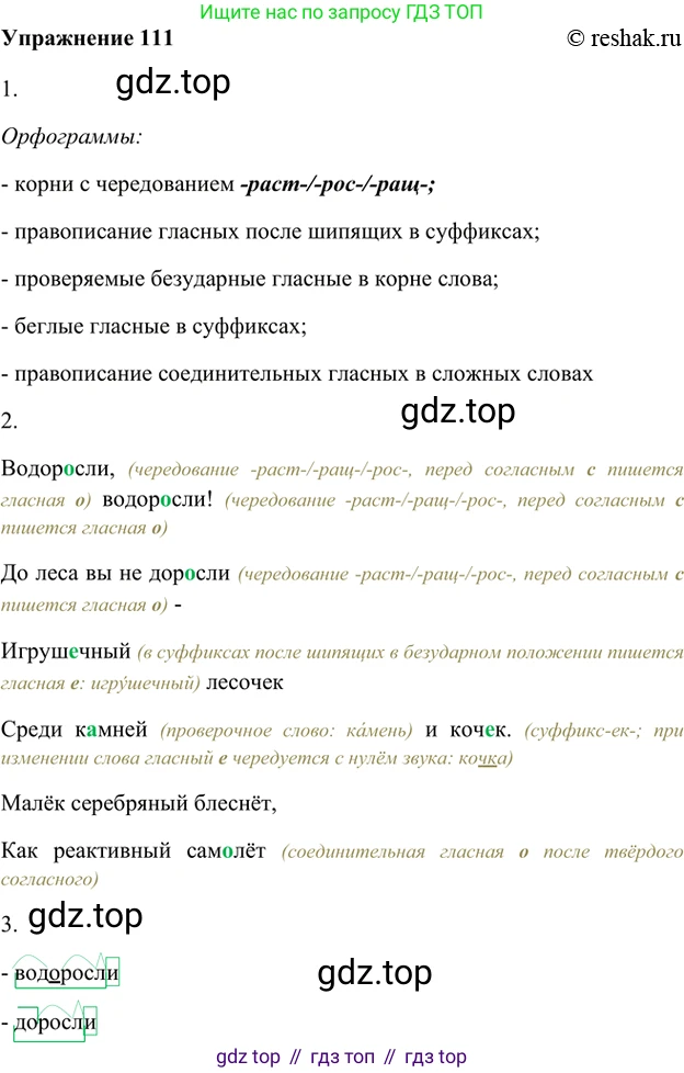 ГДЗ Русский язык, 5 класс Учебник, авторы: Шмелёв Алексей Дмитриевич, Флоренская Эльза Александровна, Габович Фаина Ефимовна, Савчук Лариса Олеговна(2), Шмелёва Елена Яковлевна, издательство Просвещение, Москва, 2021, Часть 1, страница 194, номер 111, Решение 2