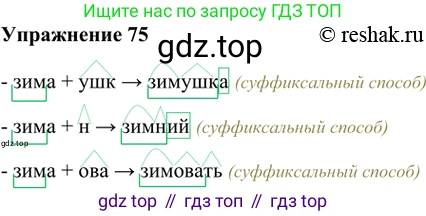ГДЗ Русский язык, 5 класс Учебник, авторы: Шмелёв Алексей Дмитриевич, Флоренская Эльза Александровна, Габович Фаина Ефимовна, Савчук Лариса Олеговна(2), Шмелёва Елена Яковлевна, издательство Просвещение, Москва, 2021, Часть 1, страница 176, номер 75, Решение 2