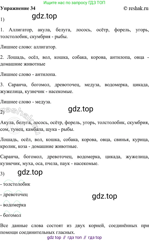 ГДЗ Русский язык, 5 класс Учебник, авторы: Шмелёв Алексей Дмитриевич, Флоренская Эльза Александровна, Габович Фаина Ефимовна, Савчук Лариса Олеговна(2), Шмелёва Елена Яковлевна, издательство Просвещение, Москва, 2021, Часть 1, страница 249, номер 34, Решение 2