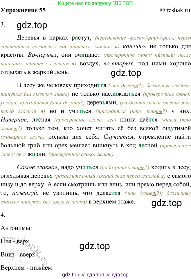 ГДЗ Русский язык, 5 класс Учебник, авторы: Шмелёв Алексей Дмитриевич, Флоренская Эльза Александровна, Габович Фаина Ефимовна, Савчук Лариса Олеговна(2), Шмелёва Елена Яковлевна, издательство Просвещение, Москва, 2021, Часть 2, страница 49, номер 55, Решение 2