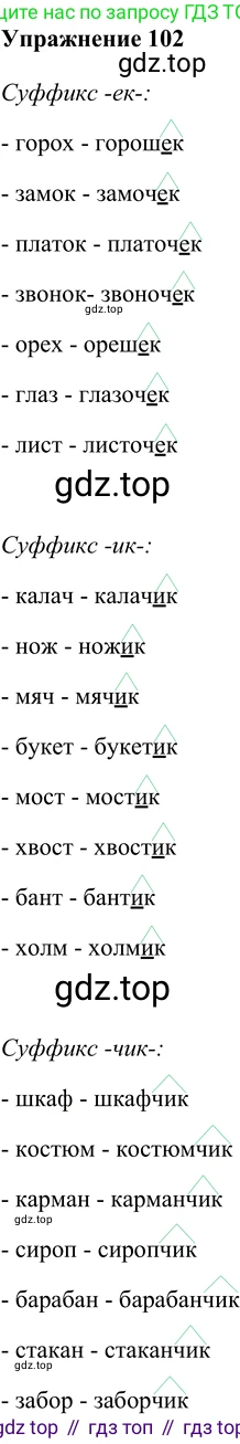 ГДЗ Русский язык, 5 класс Учебник, авторы: Шмелёв Алексей Дмитриевич, Флоренская Эльза Александровна, Габович Фаина Ефимовна, Савчук Лариса Олеговна(2), Шмелёва Елена Яковлевна, издательство Просвещение, Москва, 2021, Часть 2, страница 163, номер 102, Решение 2