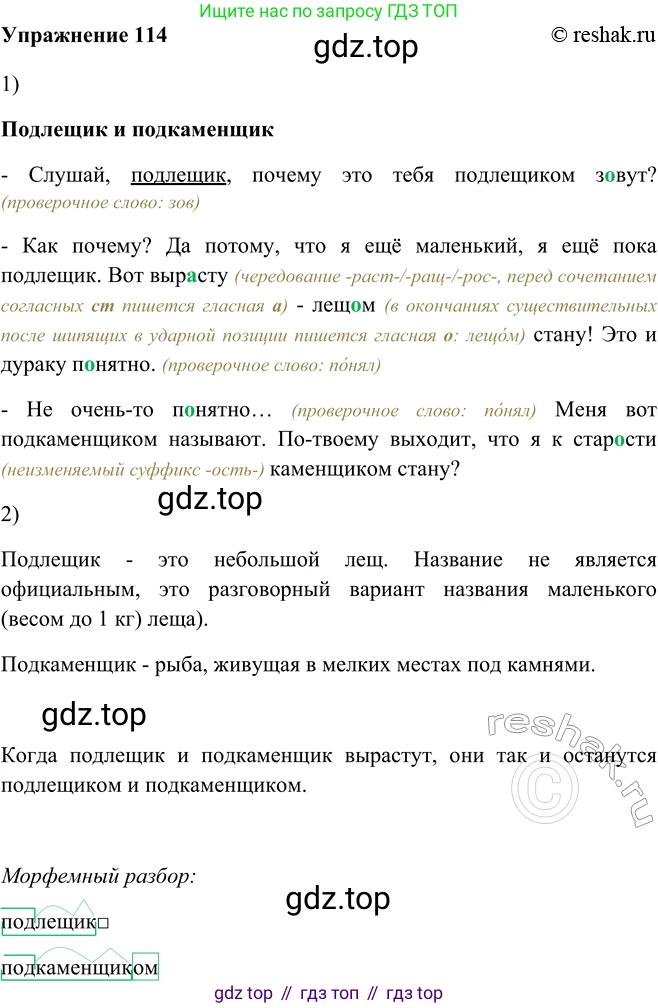 ГДЗ Русский язык, 5 класс Учебник, авторы: Шмелёв Алексей Дмитриевич, Флоренская Эльза Александровна, Габович Фаина Ефимовна, Савчук Лариса Олеговна(2), Шмелёва Елена Яковлевна, издательство Просвещение, Москва, 2021, Часть 2, страница 169, номер 114, Решение 2