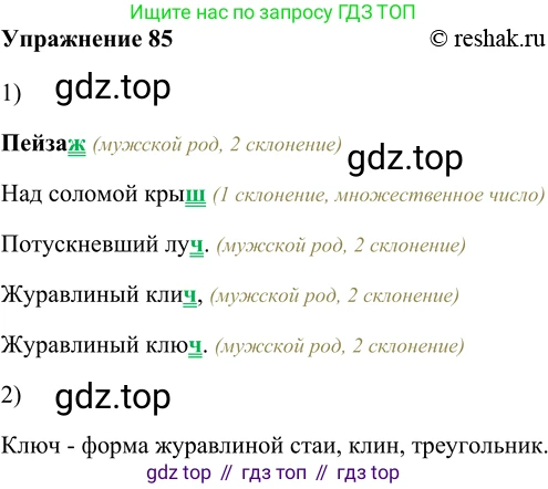 ГДЗ Русский язык, 5 класс Учебник, авторы: Шмелёв Алексей Дмитриевич, Флоренская Эльза Александровна, Габович Фаина Ефимовна, Савчук Лариса Олеговна(2), Шмелёва Елена Яковлевна, издательство Просвещение, Москва, 2021, Часть 2, страница 155, номер 85, Решение 2
