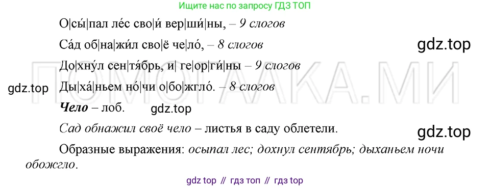 ГДЗ Русский язык, 5 класс Учебник, авторы: Шмелёв Алексей Дмитриевич, Флоренская Эльза Александровна, Габович Фаина Ефимовна, Савчук Лариса Олеговна(2), Шмелёва Елена Яковлевна, издательство Просвещение, Москва, 2021, Часть 1, страница 81, номер 19, Решение 3