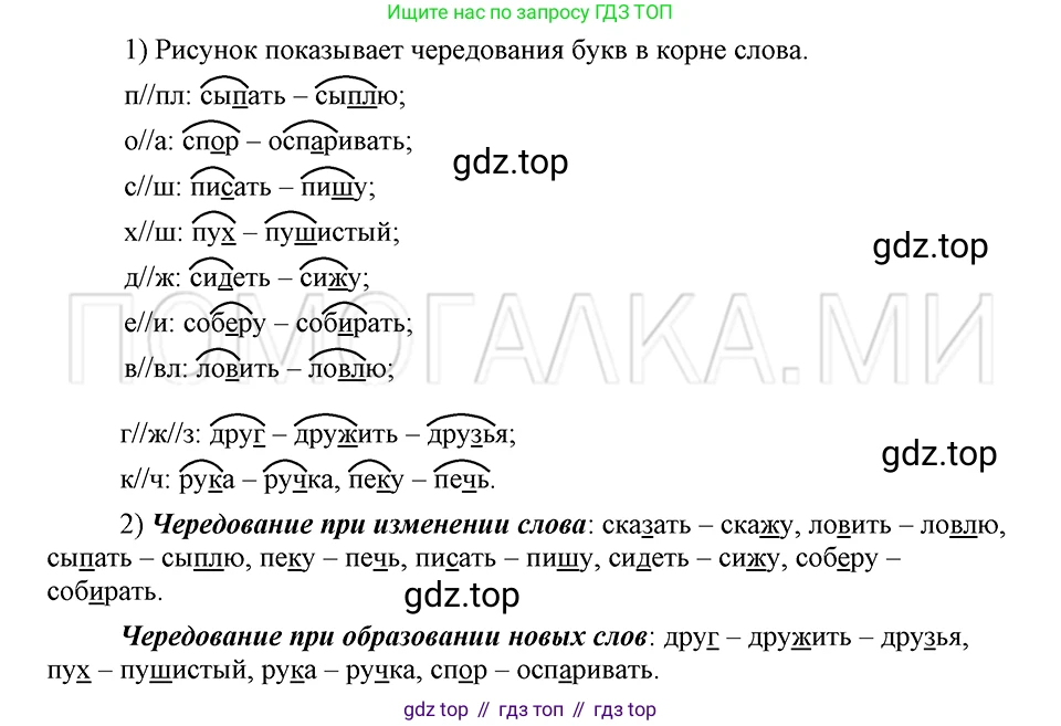 ГДЗ Русский язык, 5 класс Учебник, авторы: Шмелёв Алексей Дмитриевич, Флоренская Эльза Александровна, Габович Фаина Ефимовна, Савчук Лариса Олеговна(2), Шмелёва Елена Яковлевна, издательство Просвещение, Москва, 2021, Часть 1, страница 170, номер 62, Решение 3