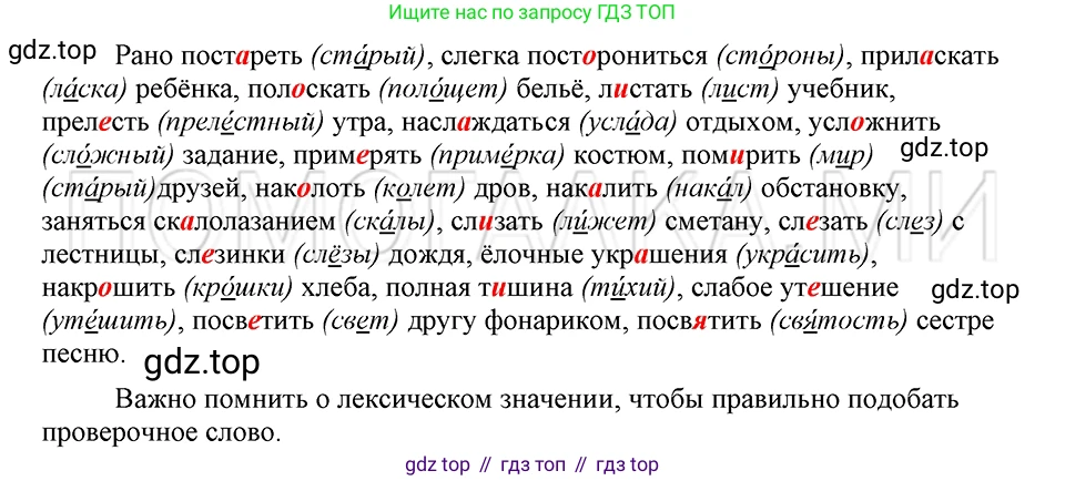 ГДЗ Русский язык, 5 класс Учебник, авторы: Шмелёв Алексей Дмитриевич, Флоренская Эльза Александровна, Габович Фаина Ефимовна, Савчук Лариса Олеговна(2), Шмелёва Елена Яковлевна, издательство Просвещение, Москва, 2021, Часть 1, страница 295, номер 123, Решение 3