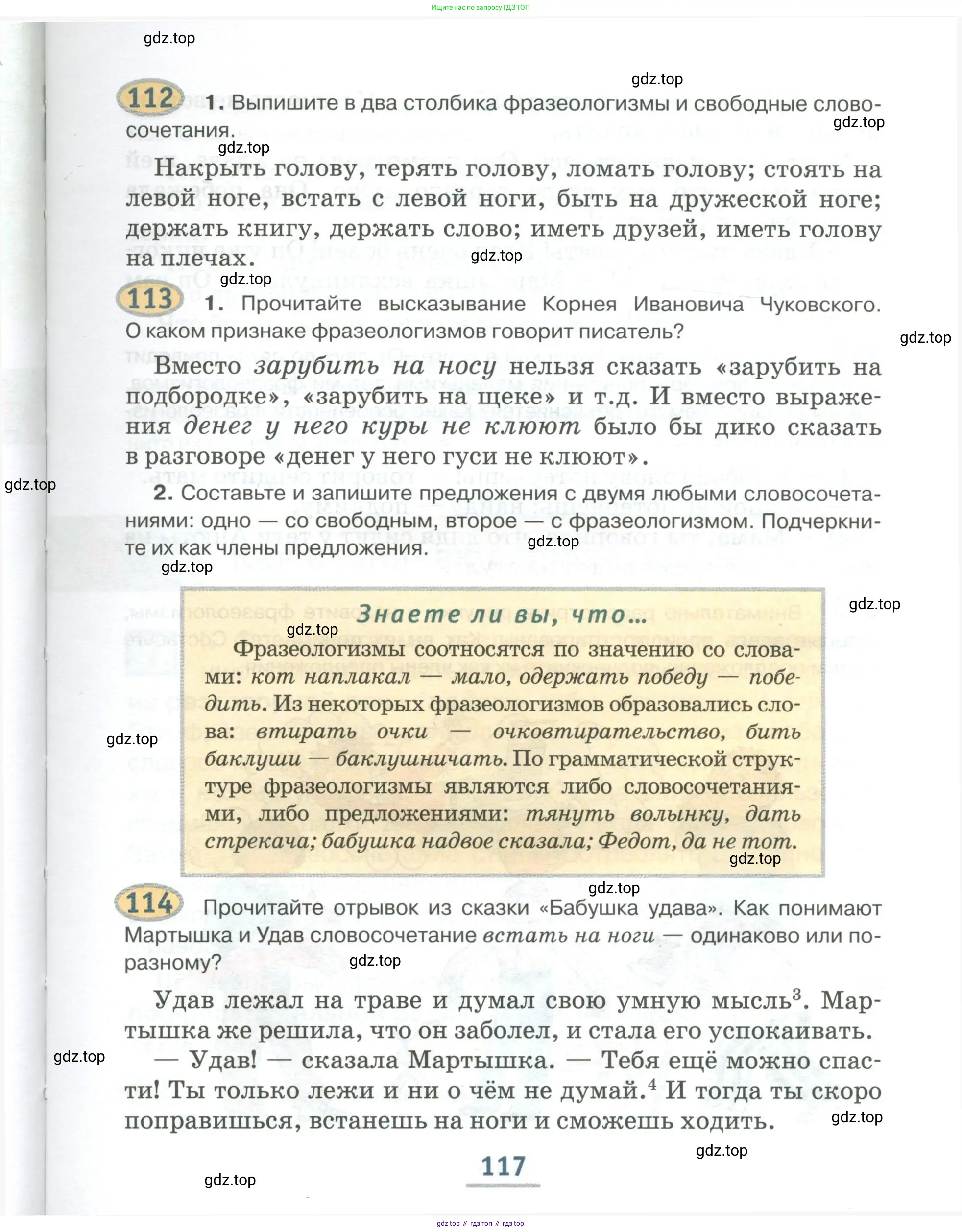 Русский язык, 6 класс Учебник, авторы: Быстрова Елена Александровна, Кибирёва Людмила Валентиновна, Гостева Юлия Николаевна, Антонова Евгения Станиславовна, издательство Русское слово, Москва, 2022, голубого цвета, Часть 1, страница 117
