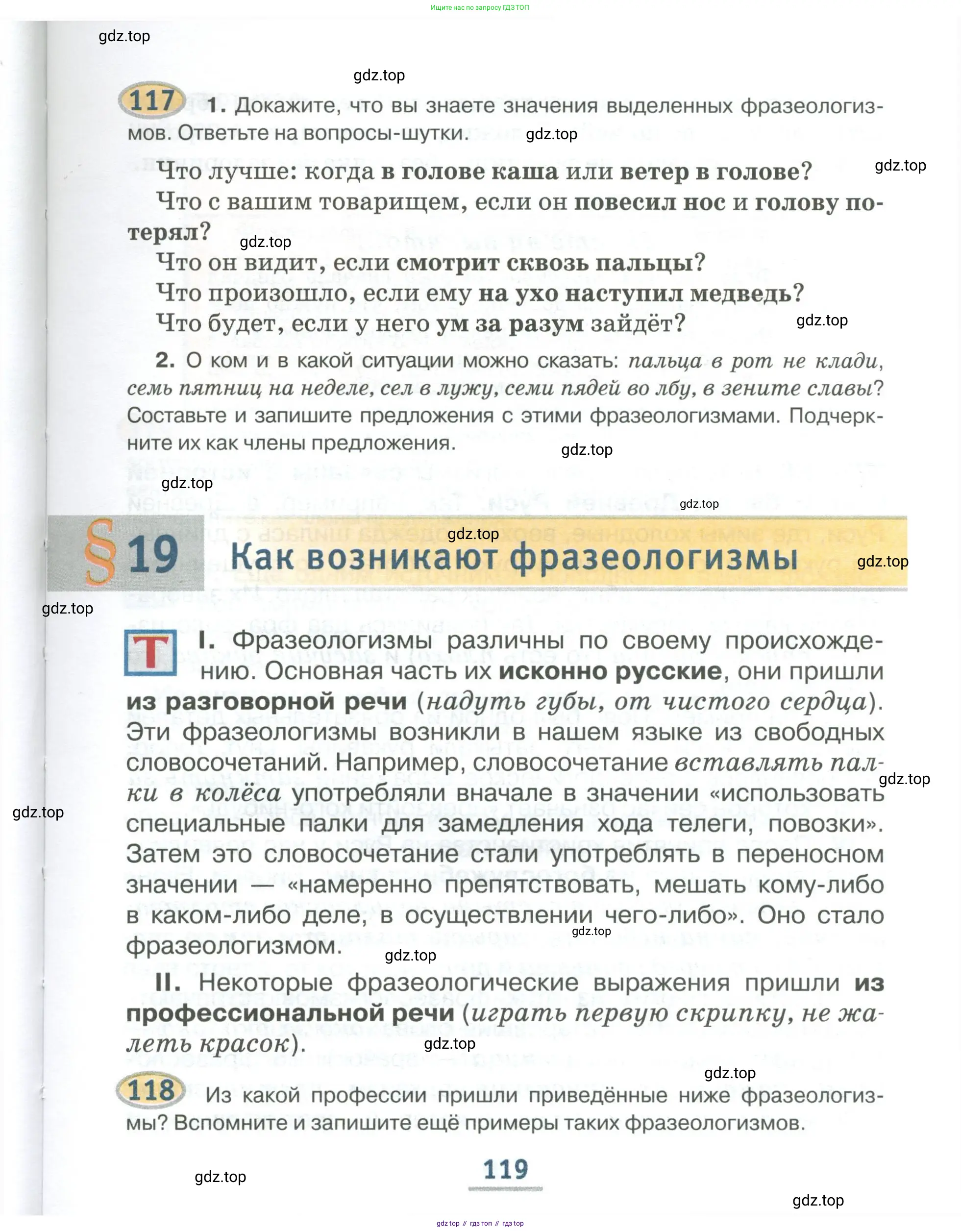 Русский язык, 6 класс Учебник, авторы: Быстрова Елена Александровна, Кибирёва Людмила Валентиновна, Гостева Юлия Николаевна, Антонова Евгения Станиславовна, издательство Русское слово, Москва, 2022, голубого цвета, Часть 1, страница 119