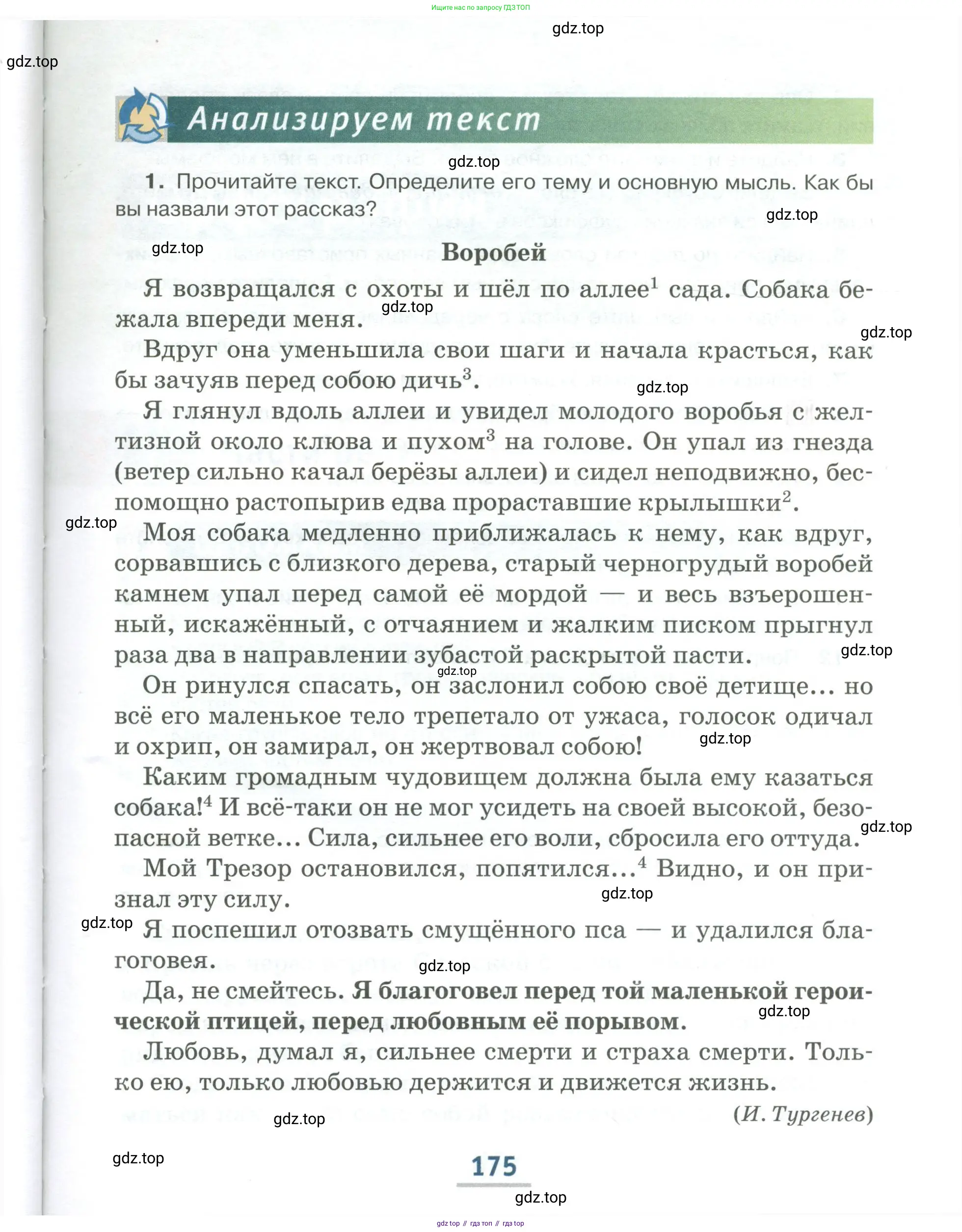Русский язык, 6 класс Учебник, авторы: Быстрова Елена Александровна, Кибирёва Людмила Валентиновна, Гостева Юлия Николаевна, Антонова Евгения Станиславовна, издательство Русское слово, Москва, 2022, голубого цвета, Часть 1, страница 175