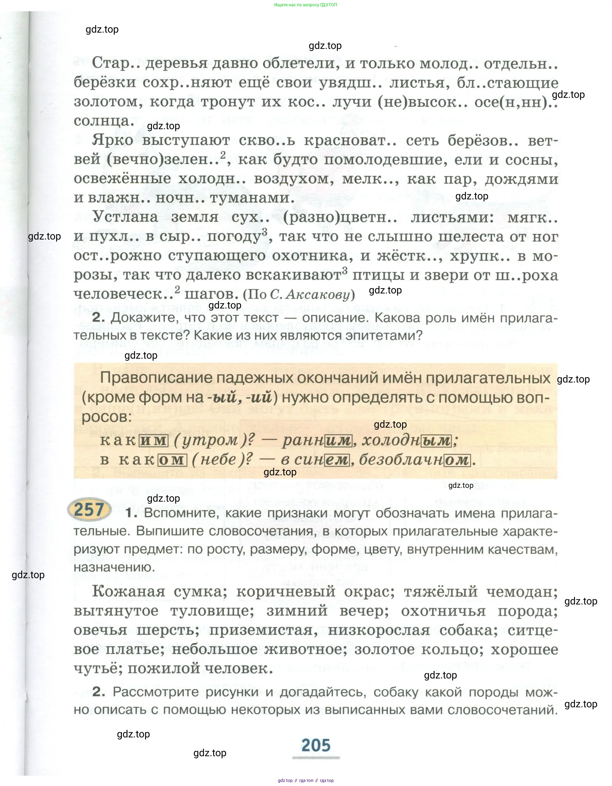 Русский язык, 6 класс Учебник, авторы: Быстрова Елена Александровна, Кибирёва Людмила Валентиновна, Гостева Юлия Николаевна, Антонова Евгения Станиславовна, издательство Русское слово, Москва, 2022, голубого цвета, Часть 1, страница 205