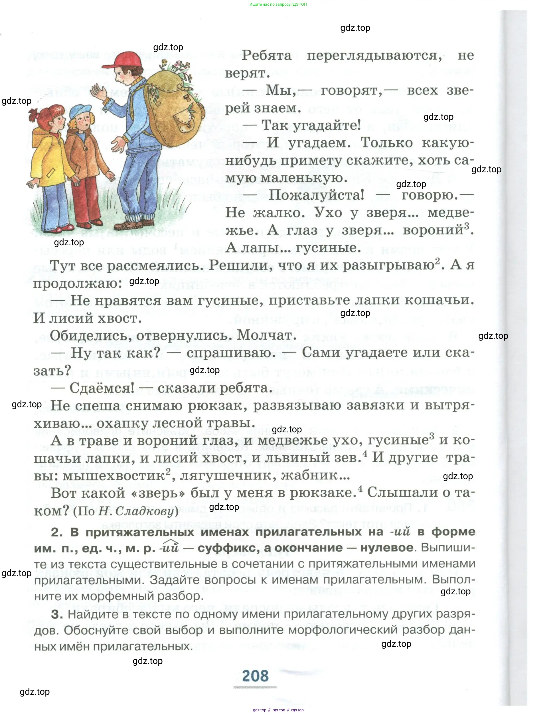 Русский язык, 6 класс Учебник, авторы: Быстрова Елена Александровна, Кибирёва Людмила Валентиновна, Гостева Юлия Николаевна, Антонова Евгения Станиславовна, издательство Русское слово, Москва, 2022, голубого цвета, страница 208