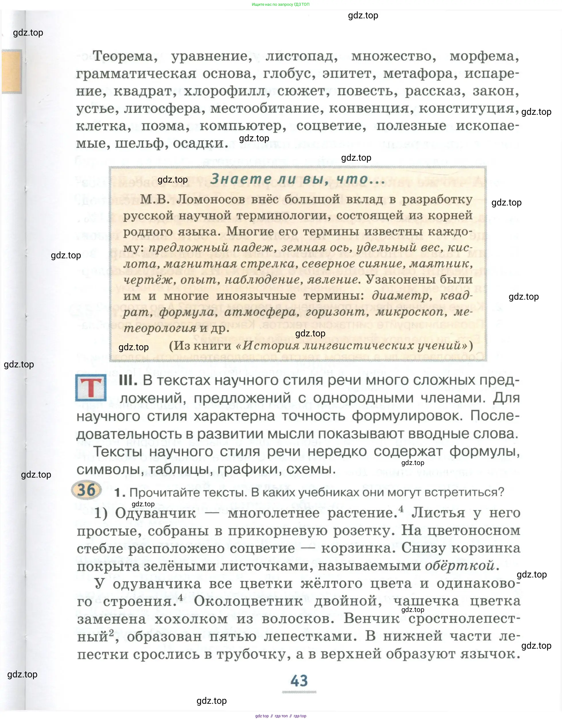 Русский язык, 6 класс Учебник, авторы: Быстрова Елена Александровна, Кибирёва Людмила Валентиновна, Гостева Юлия Николаевна, Антонова Евгения Станиславовна, издательство Русское слово, Москва, 2022, голубого цвета, Часть 1, страница 43